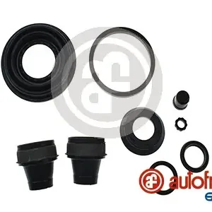 Remklauw revisie Autofren Seinsa D4373 Bestseller