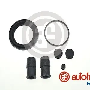 Ambachtelijk Remklauw revisie Autofren Seinsa D4378