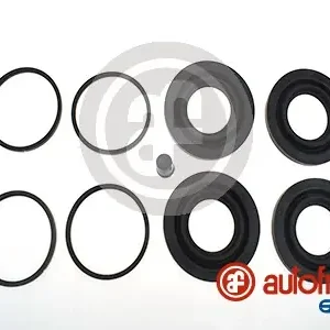 Nieuw Model Remklauw revisie Autofren Seinsa D4384