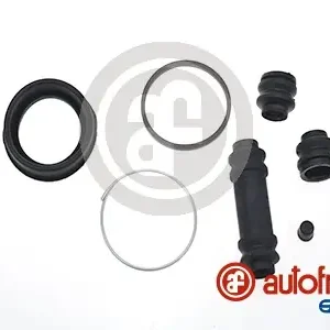 Nieuw Model Remklauw revisie Autofren Seinsa D4450