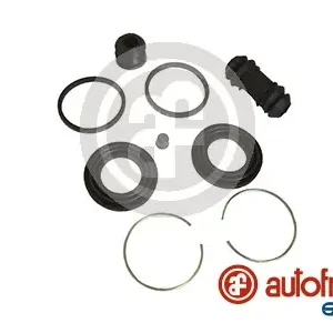 Alleen Vandaag Remklauw revisie Autofren Seinsa D4467