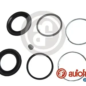 Remklauw revisie Autofren Seinsa D4491 Express Levering