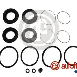 Remklauw revisie Autofren Seinsa D4500 Rechtstreeks Van De Fabrikant