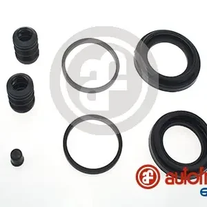 Handgemaakt Remklauw revisie Autofren Seinsa D4556