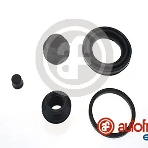 Handgemaakt Remklauw revisie Autofren Seinsa D4573