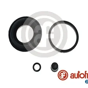 Lage Kosten Remklauw revisie Autofren Seinsa D4582