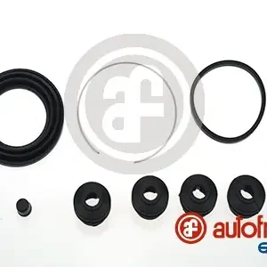 Laatste Versie Remklauw revisie Autofren Seinsa D4689