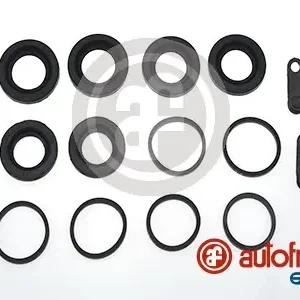 Remklauw revisie Autofren Seinsa D4746 Professioneel