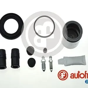 Tijdelijk Beschikbaar Remklauw revisie Autofren Seinsa D4851C