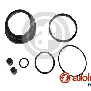 Remklauw revisie Autofren Seinsa D4899 In De Mode