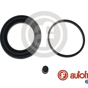 Handgemaakt Remklauw revisie Autofren Seinsa D4922