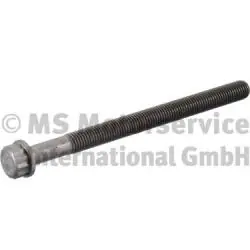 Veilige Betaling Cilinderkopbout BF 20080347009