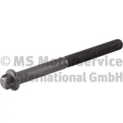 Geld-Terug-Garantie Cilinderkopbout BF 20080520139