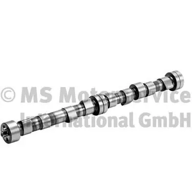 Nieuwe Collectie Nokkenas BF 20100208240