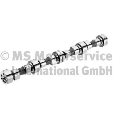 Trendy Nokkenas BF 20100208340