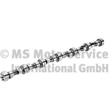 Betaalbaar Nokkenas BF 20100208361