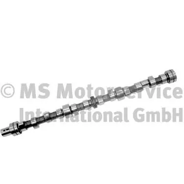 Nokkenas BF 20100335202 Gecertificeerd