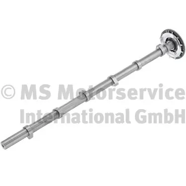 Direct Beschikbaar Nokkenas BF 20100347000