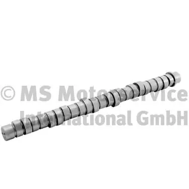 Direct Beschikbaar Nokkenas BF 20100412004