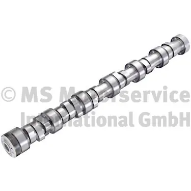 Nokkenas BF 20100913004 Favoriet