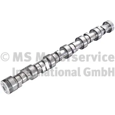 Lage Kosten Nokkenas BF 20100913005