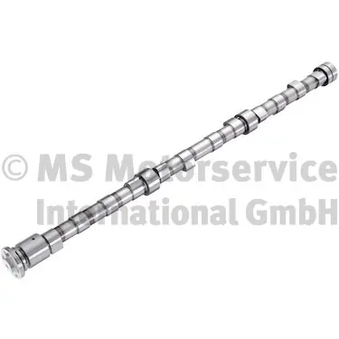 Nokkenas BF 20101410002 Wereldwijde Verzending