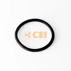 Hete Deal Versnellingsbakas dichtingsring C.E.I. 139.336