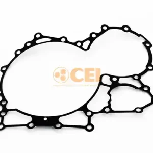 Versnellingsbakas dichtingsring C.E.I. 139.641 Origineel