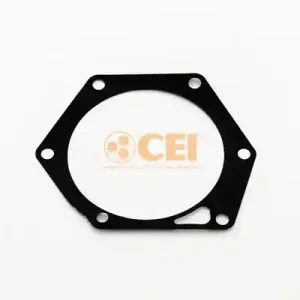 Snelle Levering Versnellingsbakas dichtingsring C.E.I. 139.678