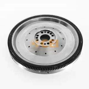 Vliegwiel C.E.I. 196.254 Gecertificeerd