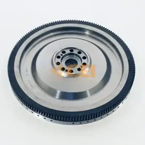 Vliegwiel C.E.I. 196.487 Favoriet