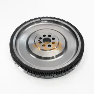 Vliegwiel C.E.I. 196.544 Alleen Vandaag